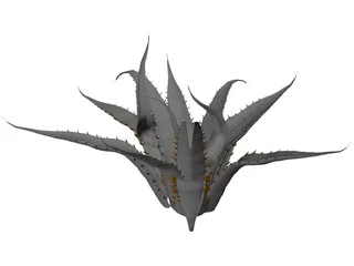 Agave Americana Marginata 3D Model preview