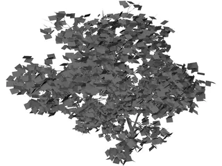 Acer Palmatum 3D Model preview