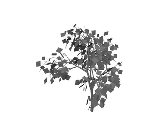 Weeping Higan Cherry 3D Model preview