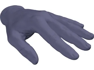 Hand Left 3D Model preview