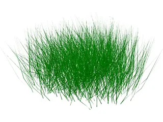 Grass 3D Model preview