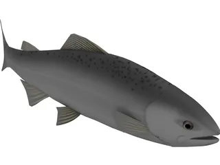 Happy Fish 3D Model preview