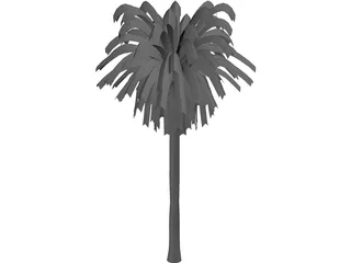 Palm Tree 3D Model preview