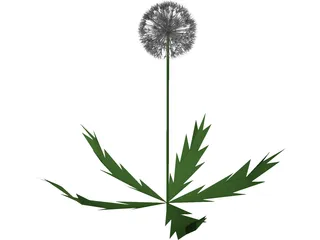 Dandelion 3D Model preview