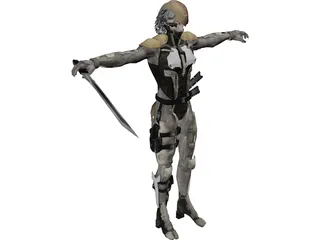 Raiden 3D Model preview