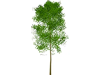 Tree 3D Model preview