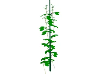 Plant 3D Model preview