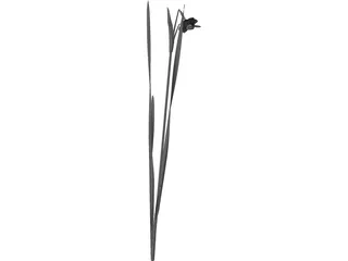 Suisen 3D Model preview