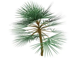 Palm 3D Model preview