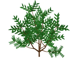 Azalea Bush 3D Model preview