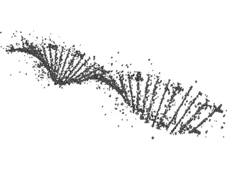 DNA Human 3D Model preview