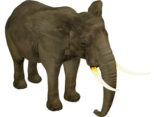 Elephant 3D Model preview