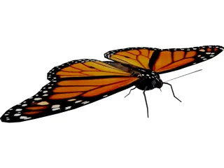 Butterfly 3D Model preview