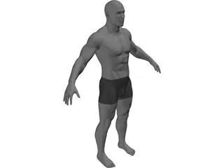 Male 3D Model preview