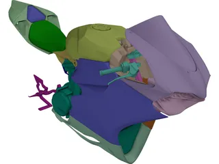 Ducati Panigale Body 3D Model preview