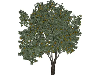 Orange Tree 3D Model preview