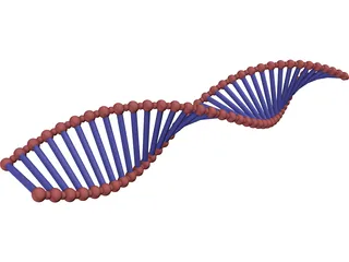 DNA Double Helix 3D Model preview