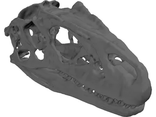 Allosaurus Fragilis Skull 3D Model preview