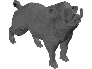 Wild Boar 3D Model preview