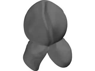 Popcorn 3D Model preview