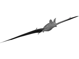 Bat 3D Model preview