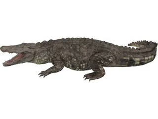 Crocodile 3D Model preview