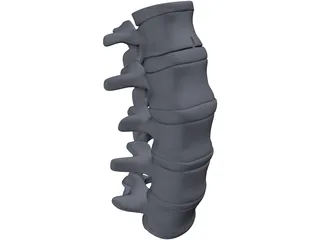Lumbar Spine 3D Model preview