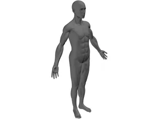 Full Human Anatomy for Simulation 3D Model preview