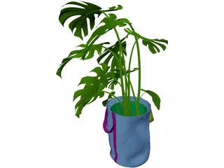 Monstera Deliciosa 3D Model preview