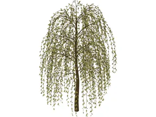 Tree 3D Model preview