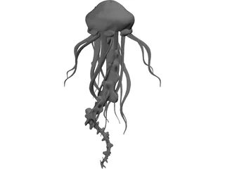 Jelly Fish 3D Model preview