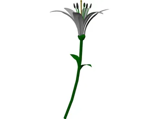 Lily 3D Model preview