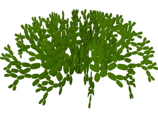 Opuntia 3D Model preview