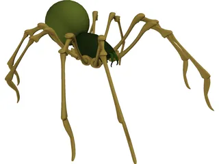 Spider 3D Model preview