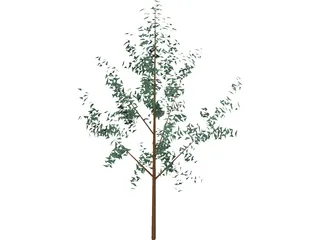 Tree 3D Model preview