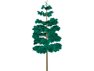 Redwood Tree 3D Model preview