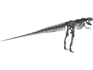 Gorgosaurus Skeleton 3D Model preview