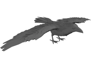 Raven 3D Model preview