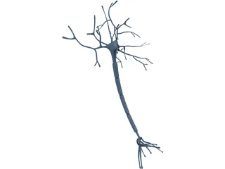 Neuron 3D Model preview