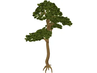 Pine 3D Model preview