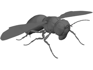 Hornet 3D Model preview