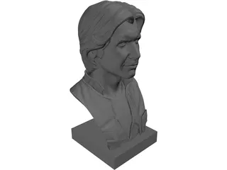 Han Solo Bust 3D Model preview
