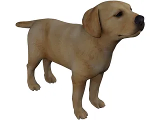 Dog 3D Model preview
