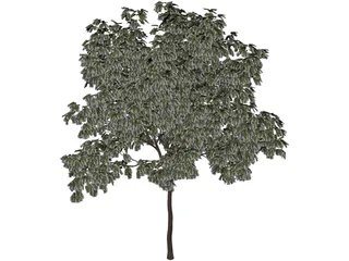 Arbol Tree 3D Model preview