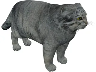 Pallas Cat 3D Model preview