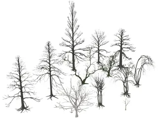 Dead Trees 3D Model preview