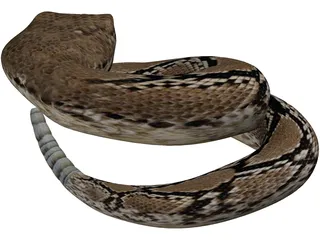 Rattlesnake 3D Model preview