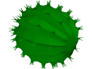 Barrel Cactus 3D Model preview