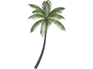 Palm 3D Model preview