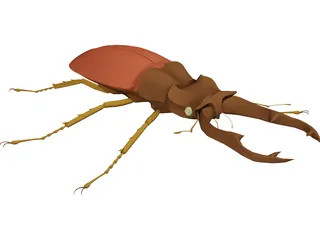 Beetle 3D Model preview